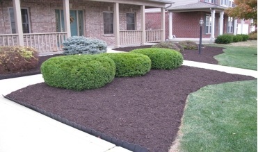 Landscape Tips, Landscape Design, Landscape Maintenance